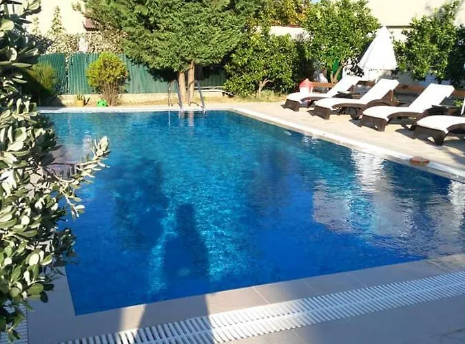 Evan's Apartment